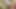 Siyah çoraplı Japon genç kız seks yapıyor ve dölleniyor