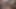 Seksi kaltak iki büyük yarağa ateşli bir elle muamele çekiyor ve ağzına boşalıyor