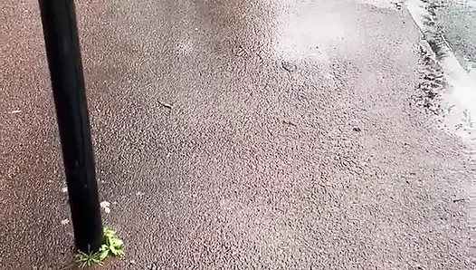 Evcil hayvanımla bir gün