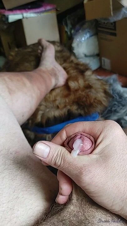 sandalyede cumming.