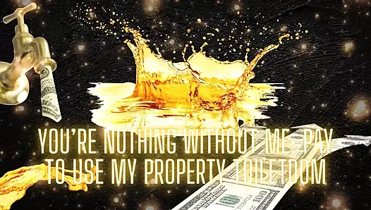 Bensiz hiçbir şeysin - mülk tuvaletimi kullanmak için para öde