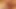 Büyük horoz hottie 4