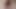 hindistan cevizi fotoğraf çekimi