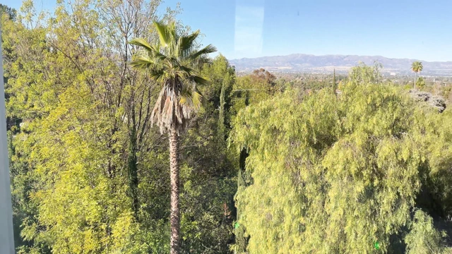 Interpol Mexico -  with Lawson Jones and Luna Legend