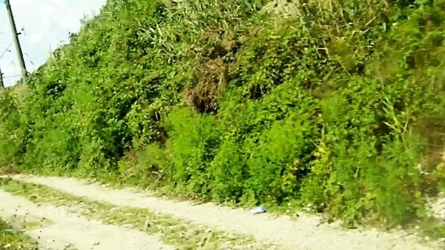 Üvey kızım bana deniz kenarında yürürken lezzetli bir sakso çekti
