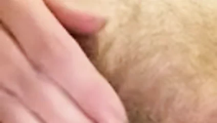 Dünyadaki tek kedim