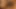 Büyük yarak emiyor amcık sikiyor dildo grup seks partisi