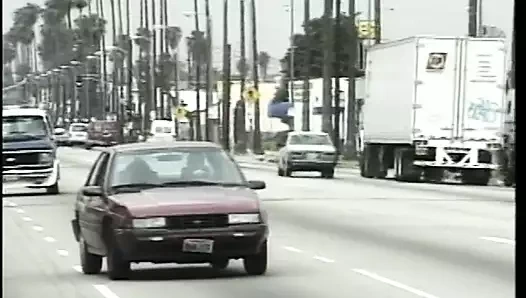 Sıcak siyah civciv büyük alacalı yatakta beyaz horoz sürmek