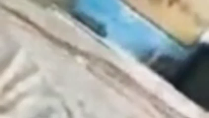 Sevimli kız sert sikiyor