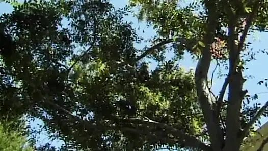 Irklararası kız öğrenci yurdu partisi - heiße partyaction