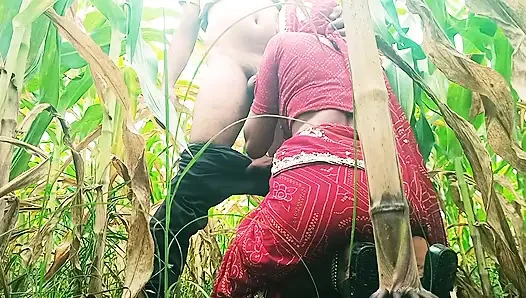 Baldız tarlada yarak emiyor ve sert sikiliyor