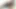 0199 Bu videonun başlığını kaybettik (OnlyFans'tan tam sürüm)