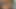 Seksi paul – iç çamaşırı ve striptiz – orta göğüsler ve kedi