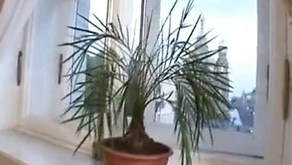 Bazı harika İtalyan milfs