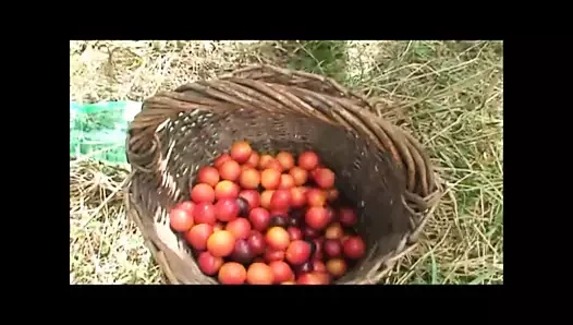 Giovani troie godono con i genitori - 4. bölüm