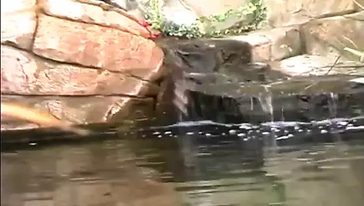 Brooke Banner, büyük şişman bir yarağı amına sokmaktan başka bir şey sevmeyen ince vücutlu doğal bir sarışın