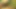 Sexy Bhabhi Ki Chudai Sugarcane Ke Khet Mein Indian Sex Video
