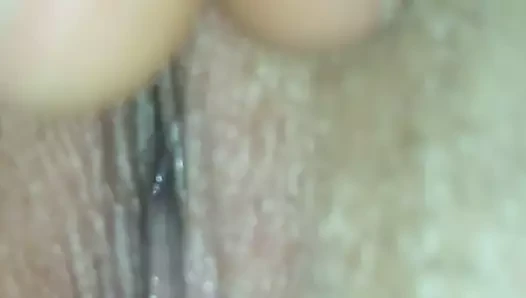 KEDİ yayılıyor