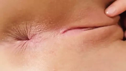 kahrolası genç kedi