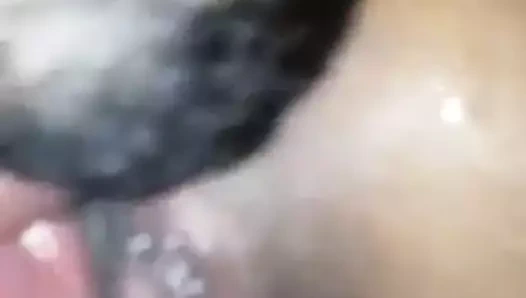 Karımın amını yala, yabancı! sinhala