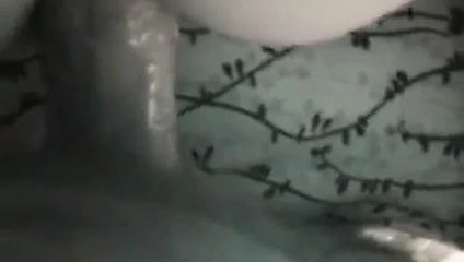 Pig eş becerdin tarafından bbc