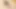 Stepbrother Fucking 18 Plus Stepsister Virgin Tight Pussy First Time Sex Creampies