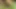 Latina swinger'ın sıcak vücudu creampied