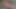 Yine üvey kız kardeş evde yalnızken üvey erkek kardeşiyle oynuyor