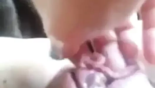 ıslak beyaz lezzetli KEDİ parmak