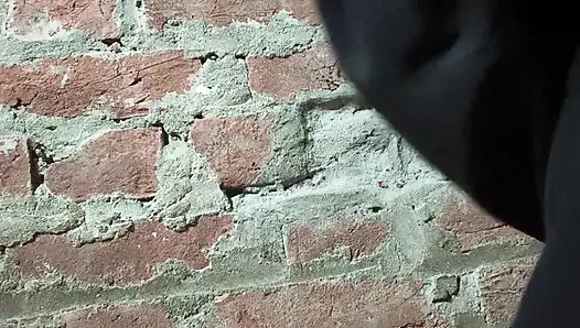 Seksee Veediyo Garl Varl XXX