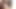 seksi karısı kedi yürüyüş gösterilen onu göt ve traş KEDİ