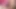 Orta yaşlı seksi kadın gırtlağına kadar yarak emiyor