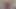 record 000002XH JOV MXL TOCATA VAGINA BBW