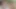 Seksi zenci hatun koyu ıslak amcığını yalıyor