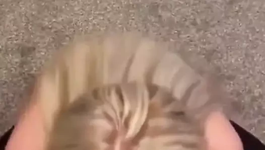 Amat sarışın swingers