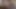 Halley Hill şehvetli bir kolej oral seksi için büyük sert bir yarağı kırbaçlıyor