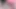 Pinkvibrator
