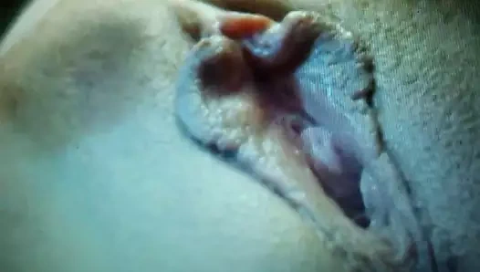 Güzel meyve suyu içinde kedi