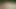 Blonde milf hairy pussy masturbating big dick sucking in the garden...cum in mouth