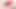 The Bad Peach 4 Tongue Licking Vibrator - She Cums Hard with Real Licking Orgasm - Close Up No Face