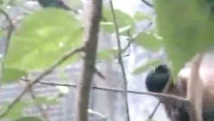 Bangladeşli gözetleme tom 4