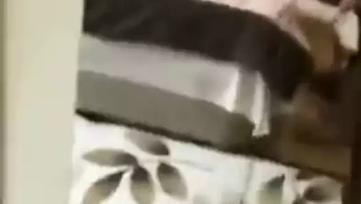 Ev yapılmış sikme eş