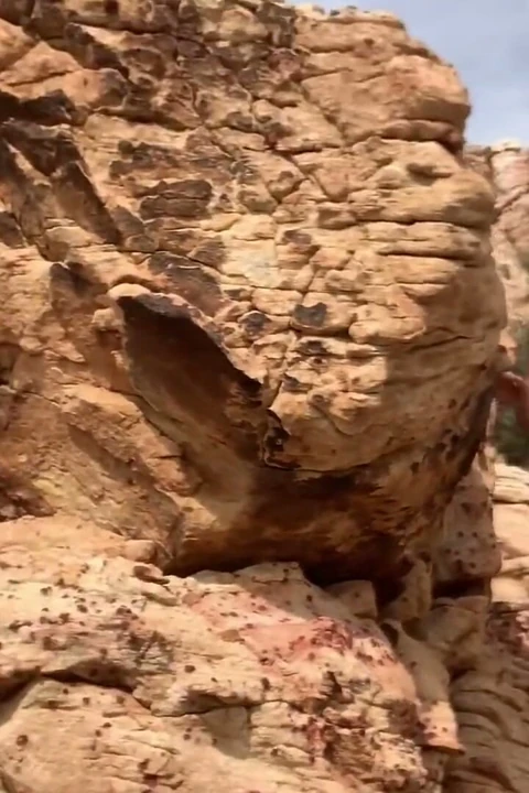 Epik Kolay Boşalma! Dağlarda Sikişiyor