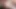 teen öğrenciler yalamak kıllı KEDİ sonra sınıf