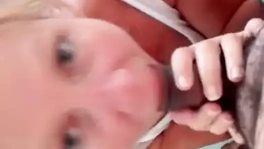 Gag üzerinde siyah horoz