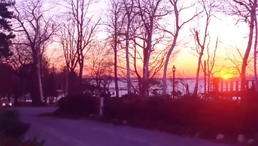 Radley metzger klasikleri