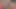 Brazzersplus – porno yıldızının özel seks canlı yayını