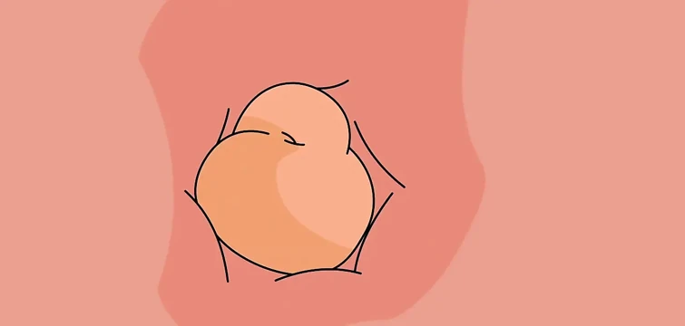 American girl fucking animation