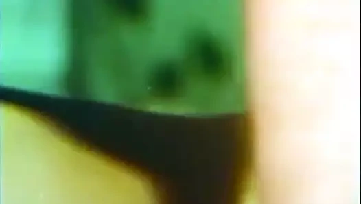 Günahın ev kredisi - 1975