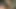 Patron yeni özel sekreterini deniyor